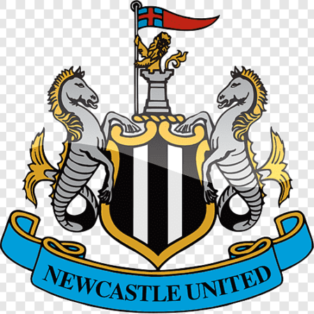 Newcastle Betting Odds for all Available Fixtures in the 24/25 Season